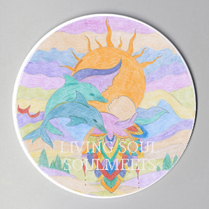 LIVING SOUL 14