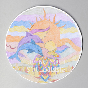 LIVING SOUL 9